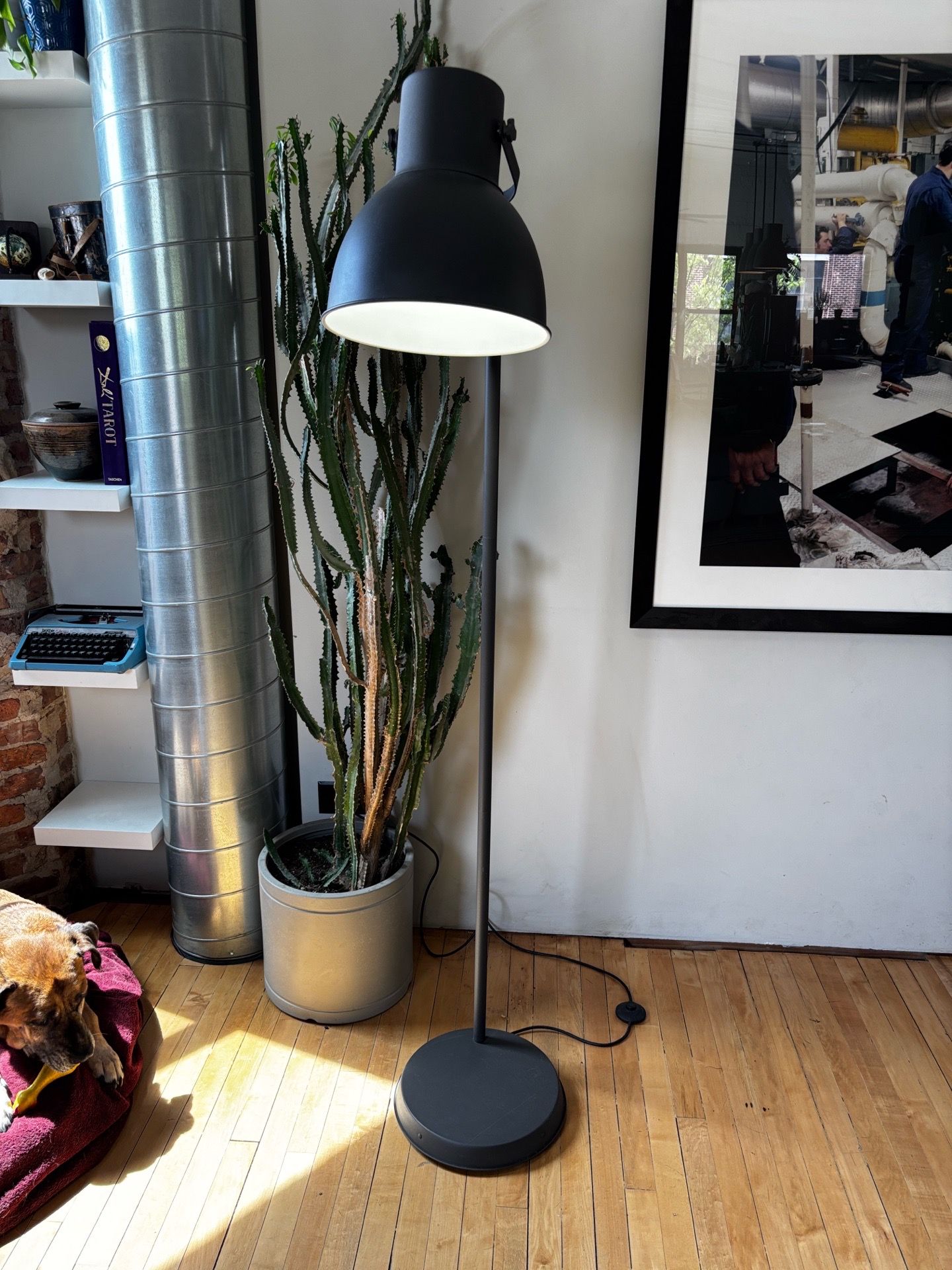 IKEA - Hektar Floor Lamp