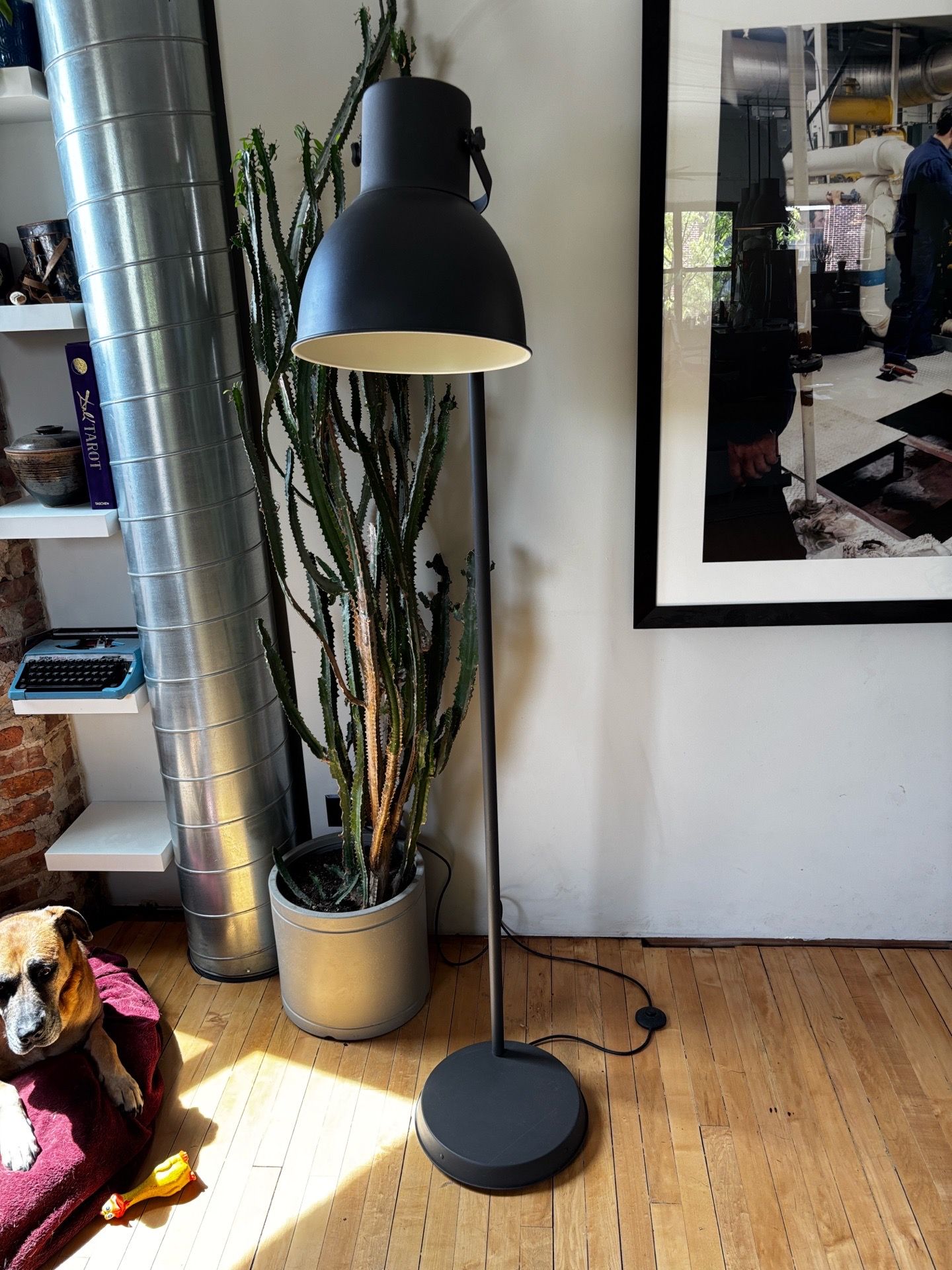 IKEA - Hektar Floor Lamp - photo 2