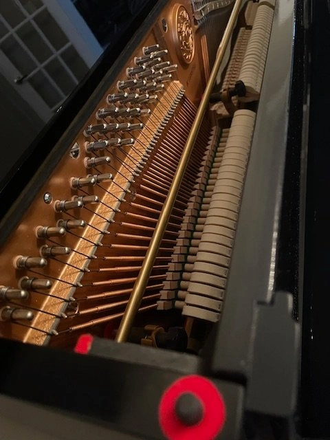 Kawai NS-25 Upright Piano 50 Inch Ebony Black Bench Included - photo 4