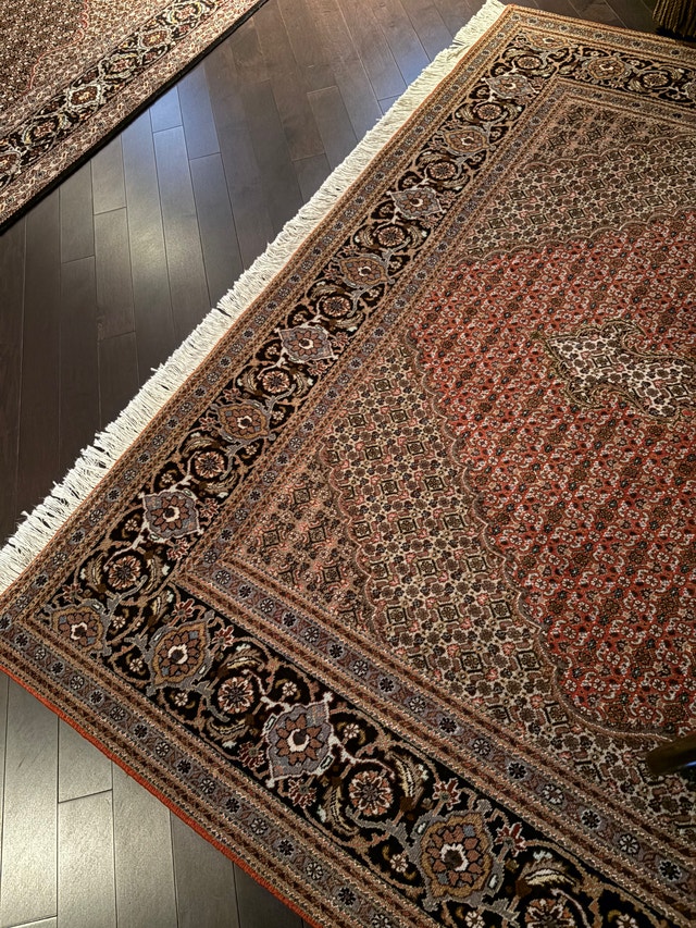 Hand-Knotted Persian Wool Rug – Bidjar – 6'7" x 10' – Hand Made