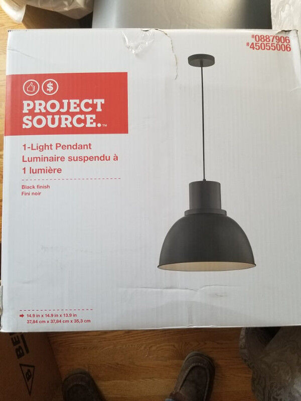 Project Source 1 Light Pendant