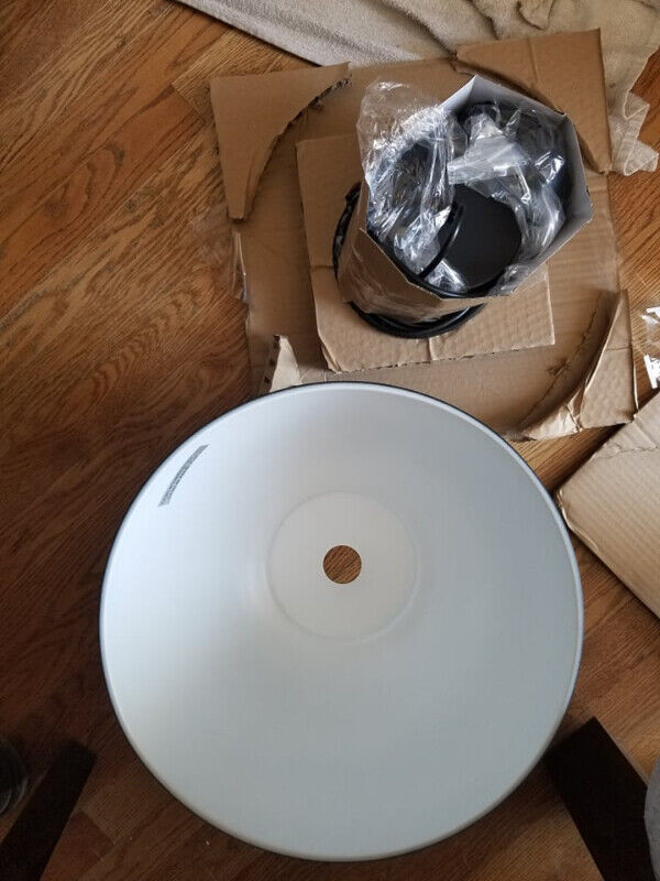 Project Source 1 Light Pendant - photo 2