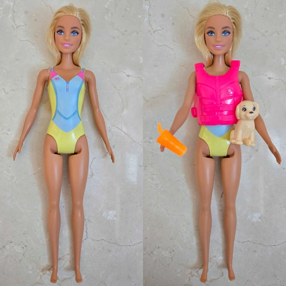 Brand New Barbie Beach Water Adventure Doll set w/ Puppy & Life