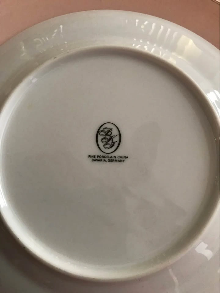 BelKraft Fine Porcelain China, Cameo Pattern, Service for 8 - photo 3