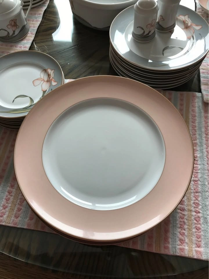 BelKraft Fine Porcelain China, Cameo Pattern, Service for 8 - photo 5
