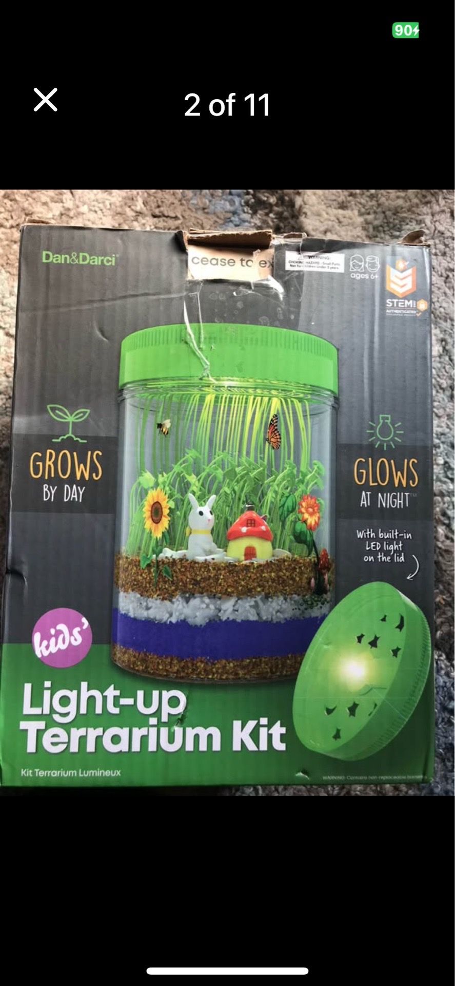 Kids light up terrarium kit