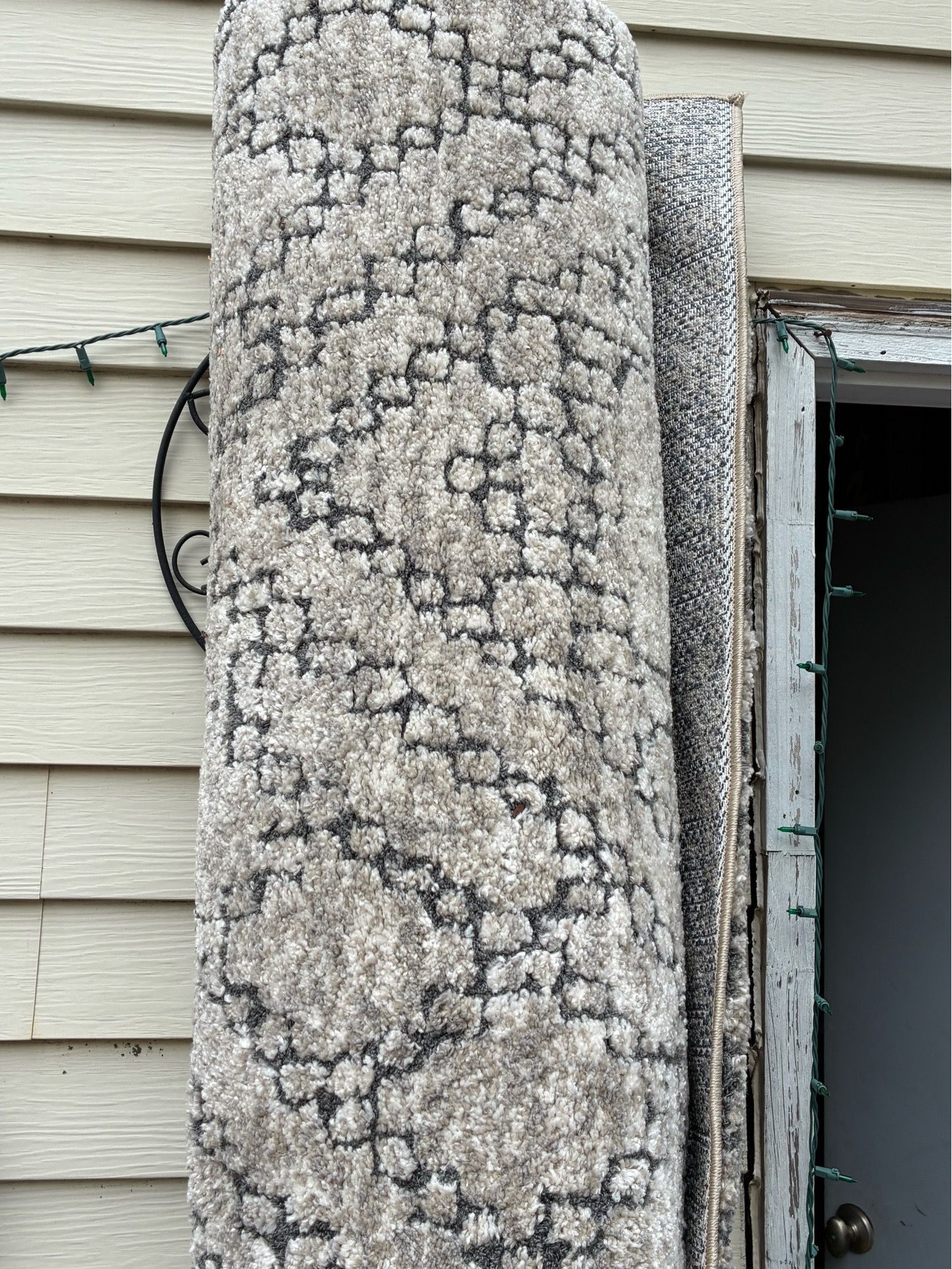 Indoor area rug - photo 2