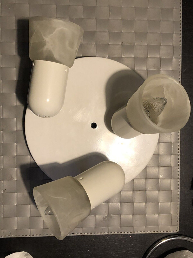 Ceiling mount light