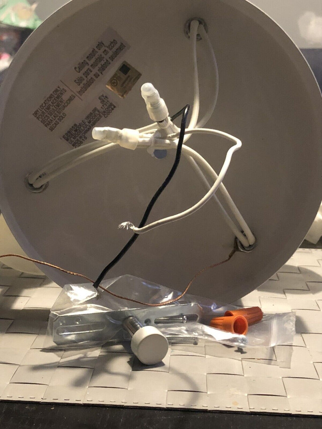 Ceiling mount light - photo 2