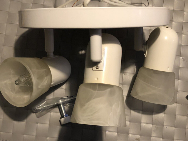 Ceiling mount light - photo 3