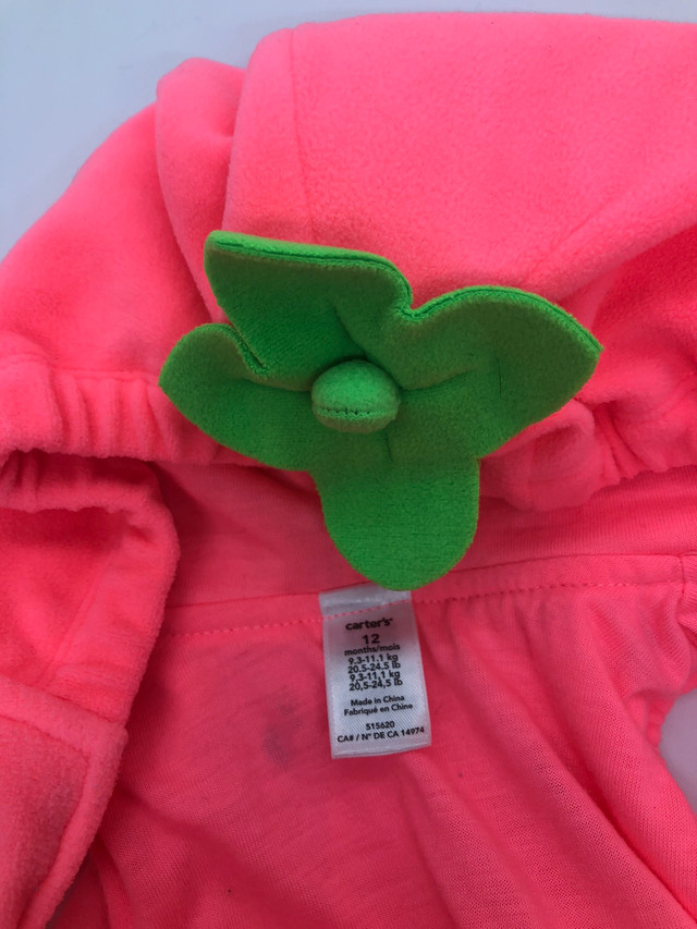 Strawberry costume 12 months - photo 2