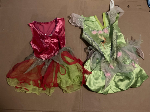 Tinkerbell and fairy costumes