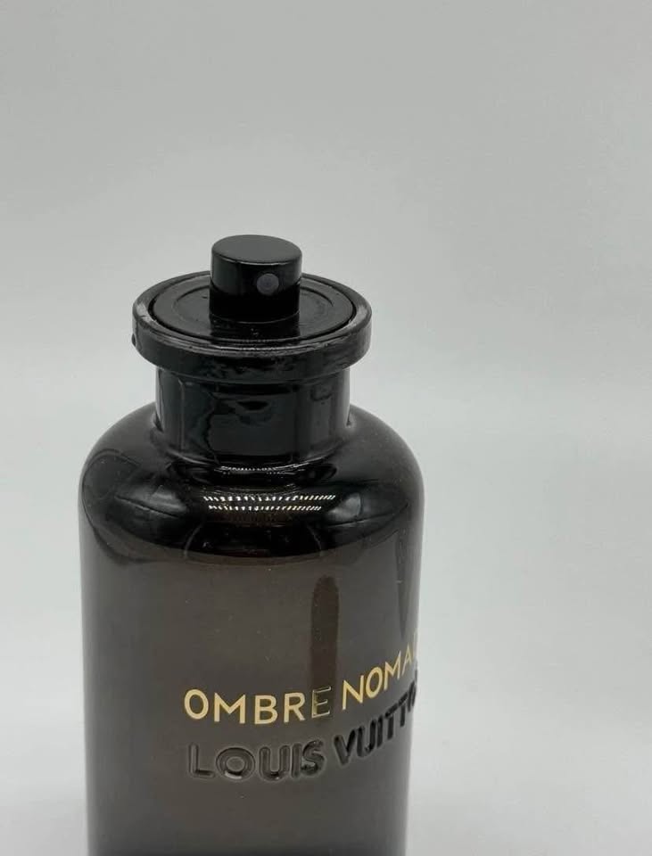 Louis Vuitton Ombre Nomade - photo 3