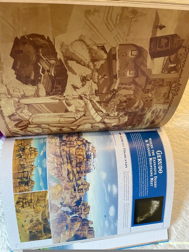 Legend of Zelda Breath of the Wild Champion Hero Edition Book - photo 3