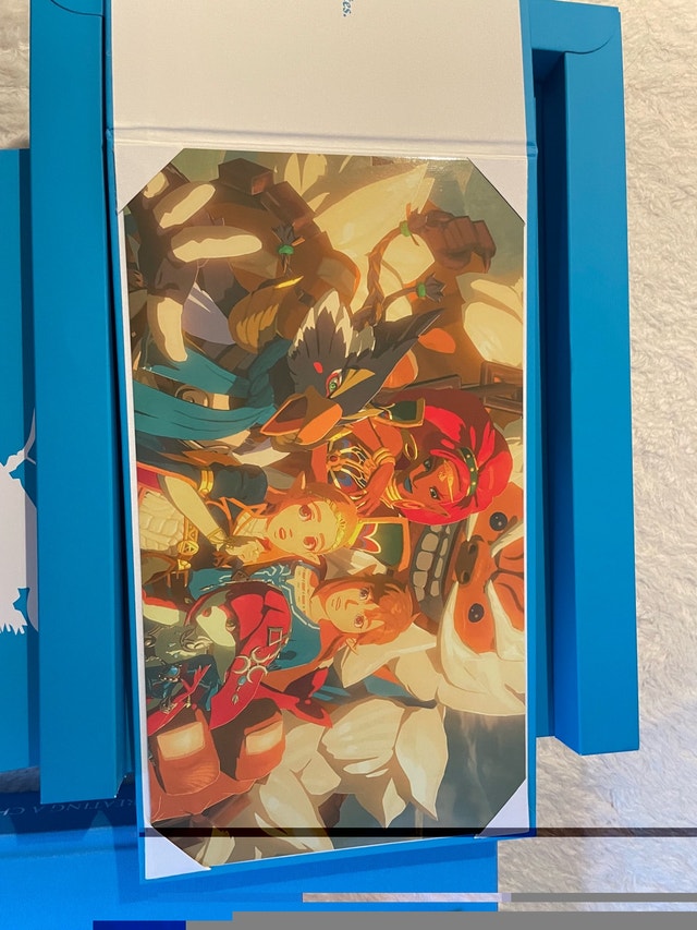 Legend of Zelda Breath of the Wild Champion Hero Edition Book - photo 4