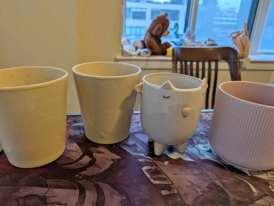 Plant Pots