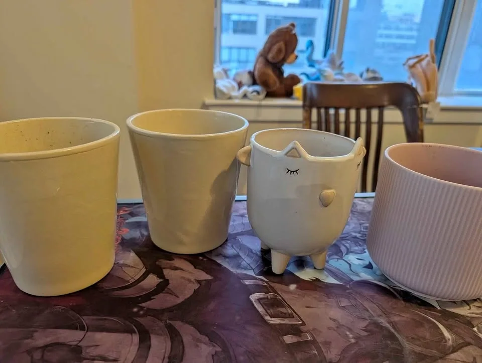 Plant Pots