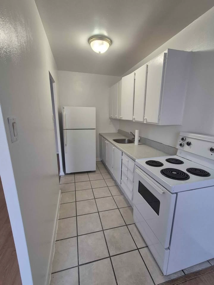 1 Bed 1 Bath - Apartment - photo 2