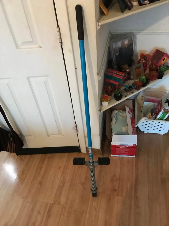 Pogo stick - photo 5
