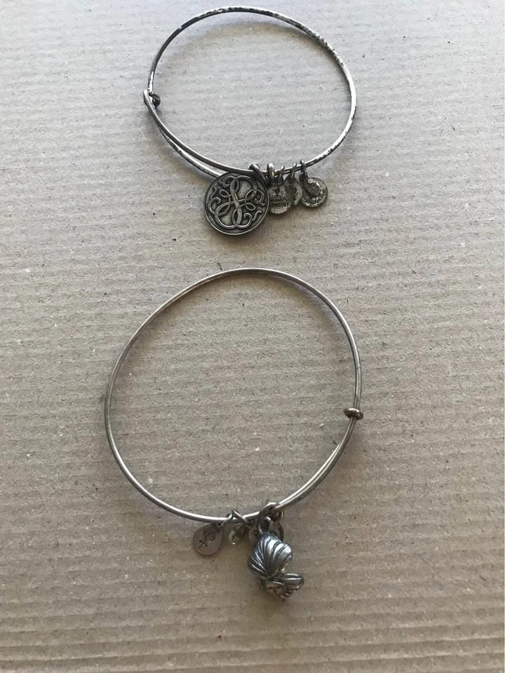 Alex and Ani Bracelets + Necklace & Earrings - photo 2