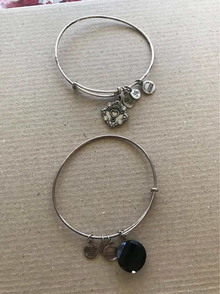 Alex and Ani Bracelets + Necklace & Earrings - photo 3