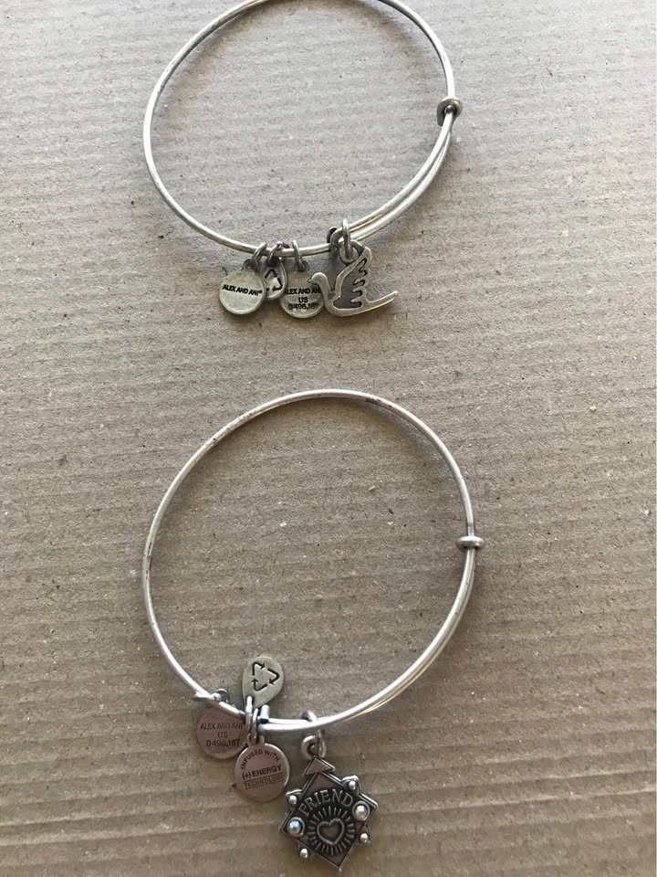 Alex and Ani Bracelets + Necklace & Earrings - photo 4