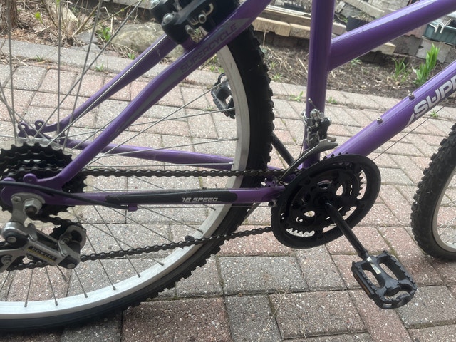 Supercycle SC1800 Bike - Great Condition - photo 2