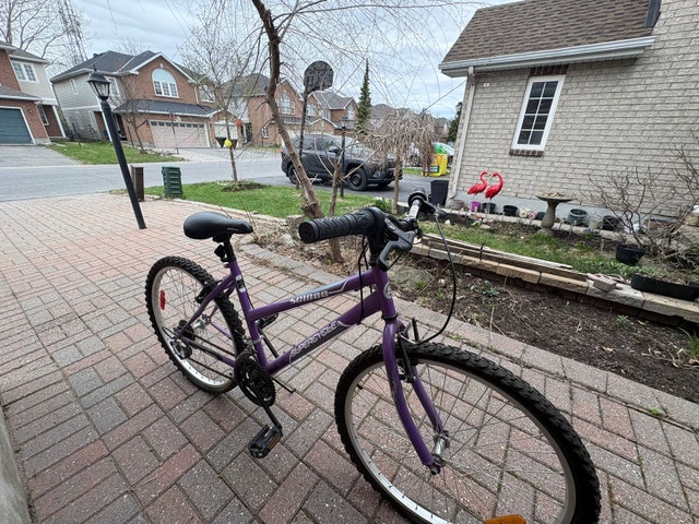 Supercycle SC1800 Bike - Great Condition - photo 3