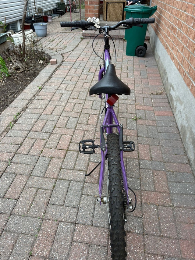 Supercycle SC1800 Bike - Great Condition - photo 4