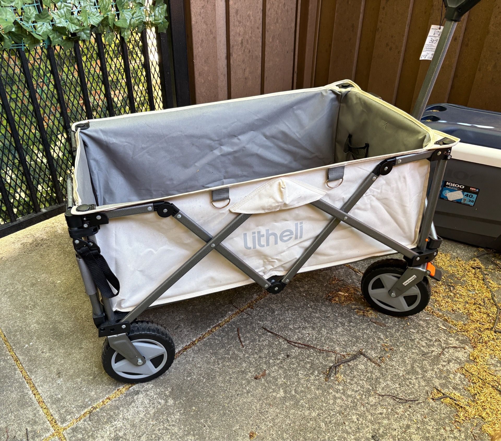 Litheli W1 Pro Electric Wagon
