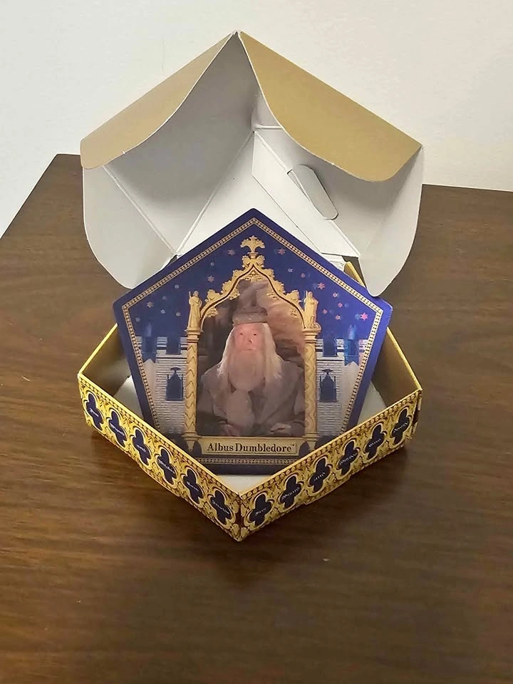 Holographic Dumbledore Harry Potter Chocolate Frog Card
