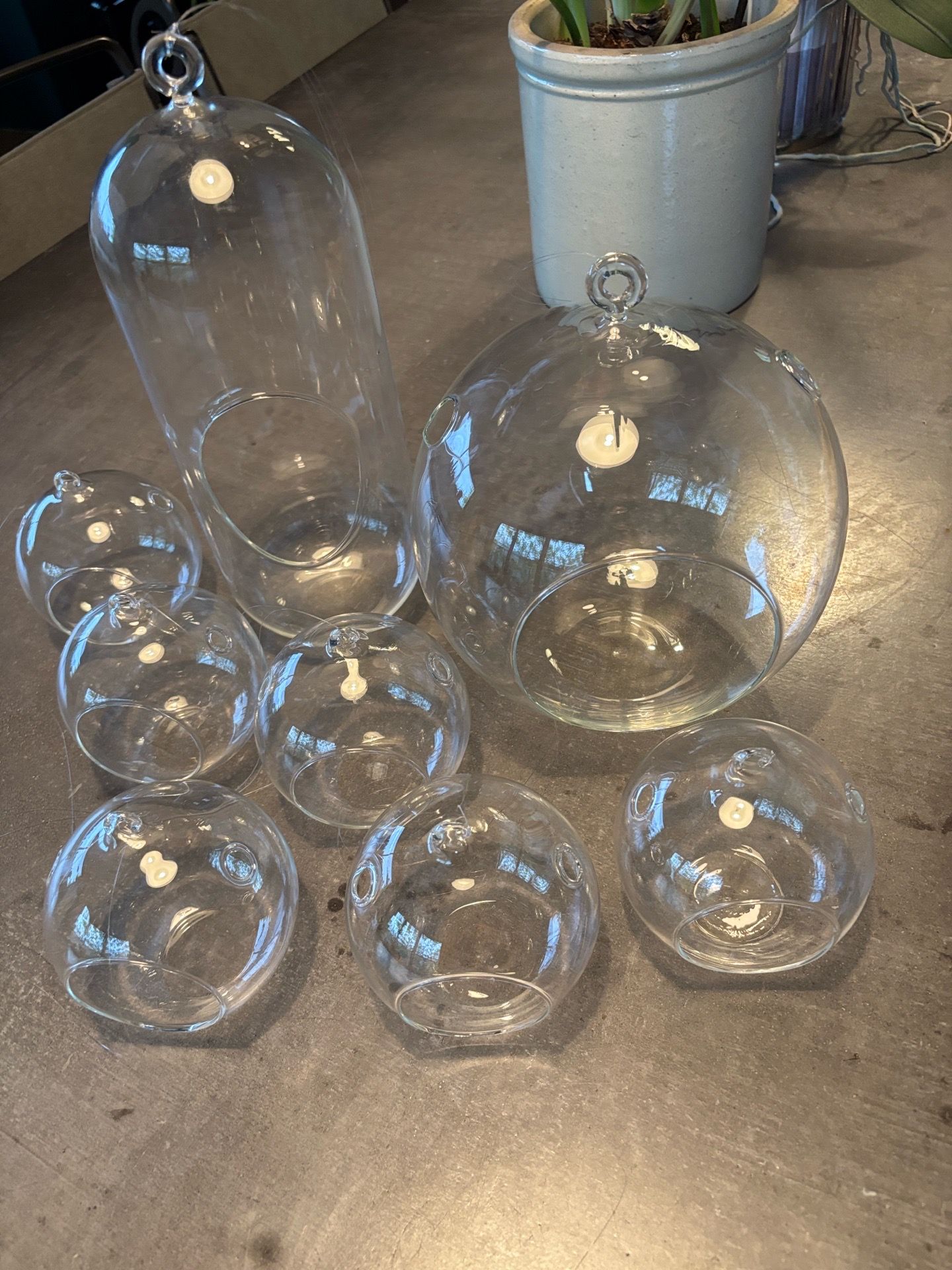 Hanging glass containers for air plants or terrariums