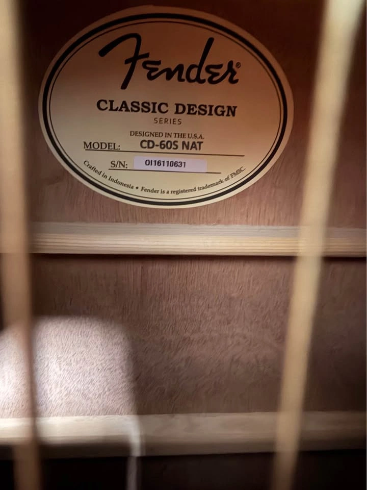Fender Acoustic Guitar, Case & Pick - photo 4