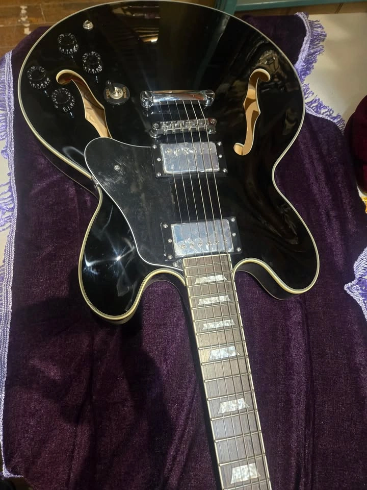 Semi Hollow Body Guitar for sale 335-Style - photo 2