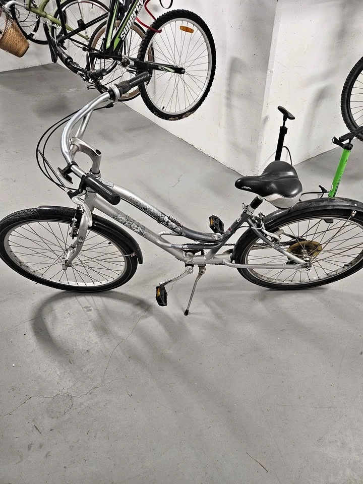 Silver Bike w/ Fenders
