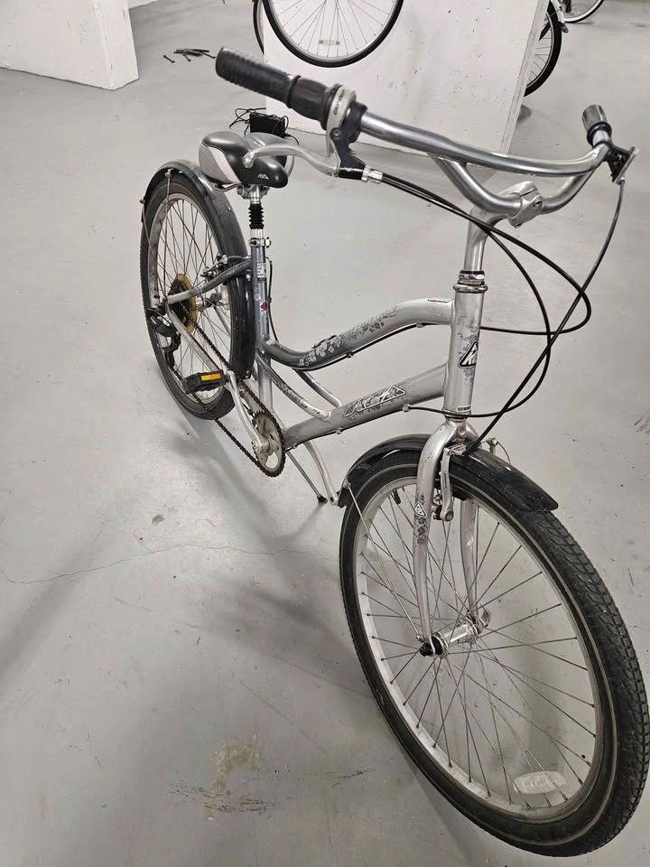 Silver Bike w/ Fenders - photo 3