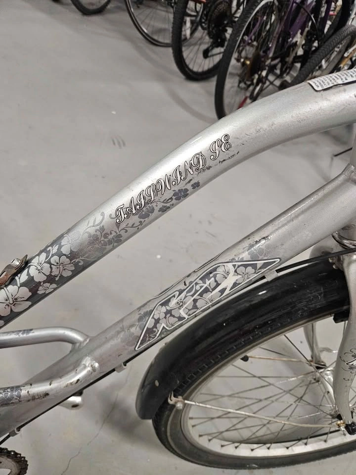 Silver Bike w/ Fenders - photo 4