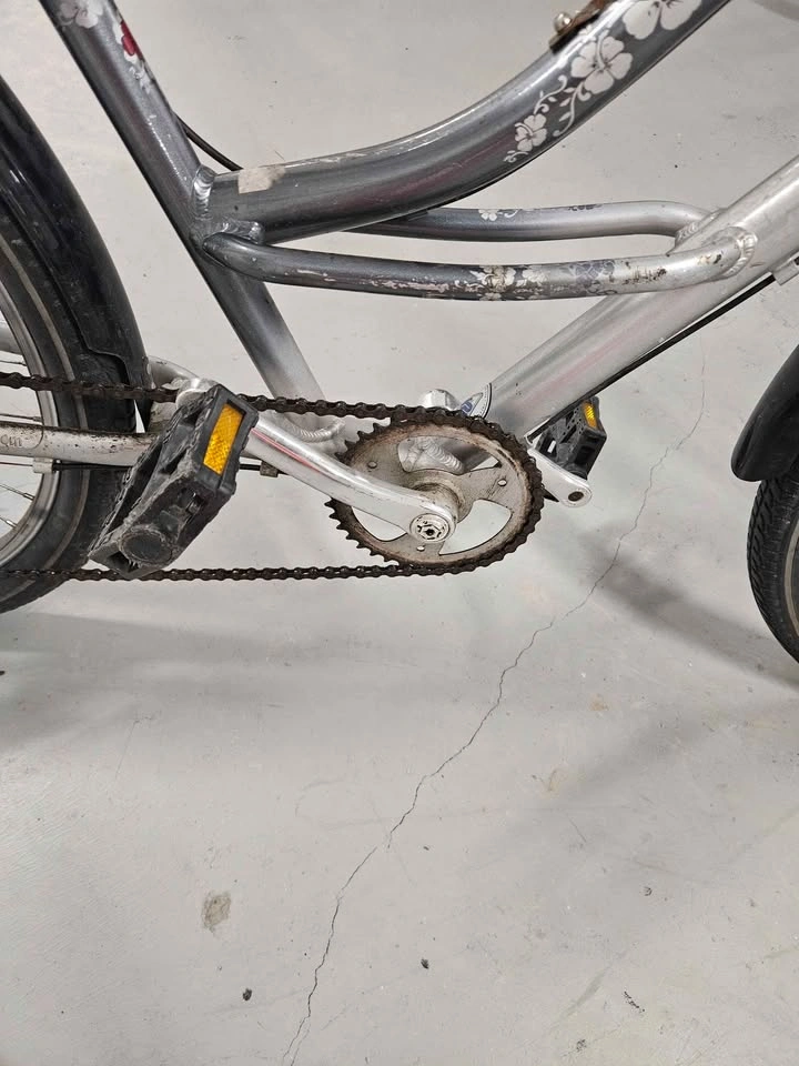 Silver Bike w/ Fenders - photo 5