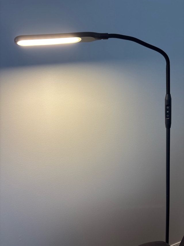 Black Floor Lamp - Adjustable