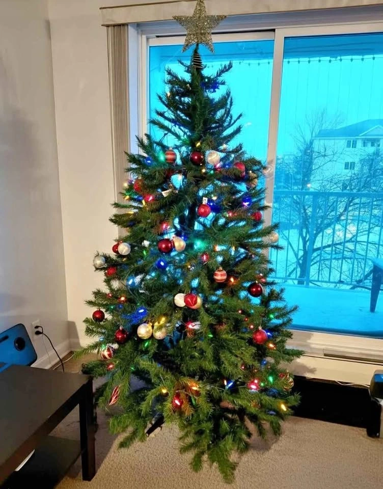 Christmas Tree with decorations