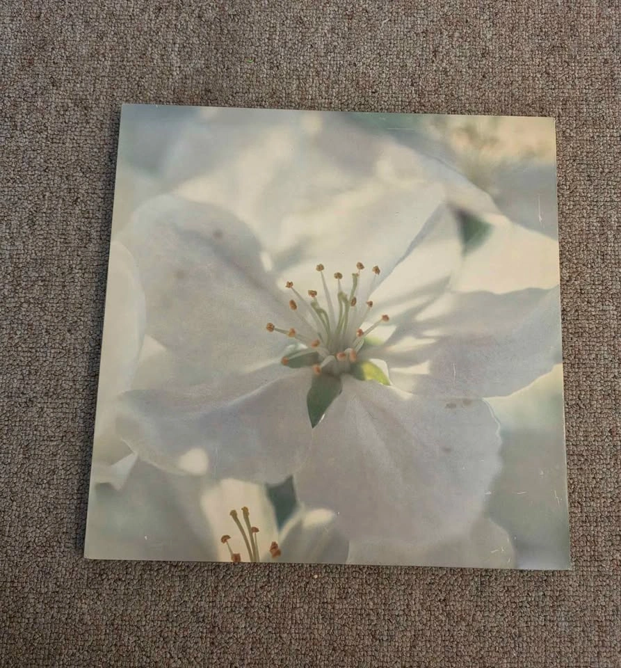 Two Cherry Blossom Wall Arts - photo 2