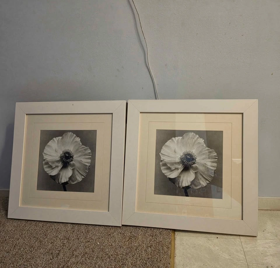 Framed White and Black Photograph (Set of 2) - photo 2
