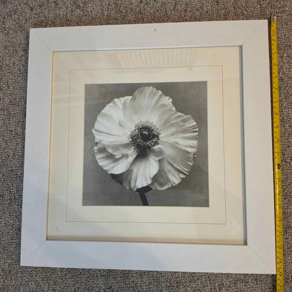 Framed White and Black Photograph (Set of 2) - photo 3