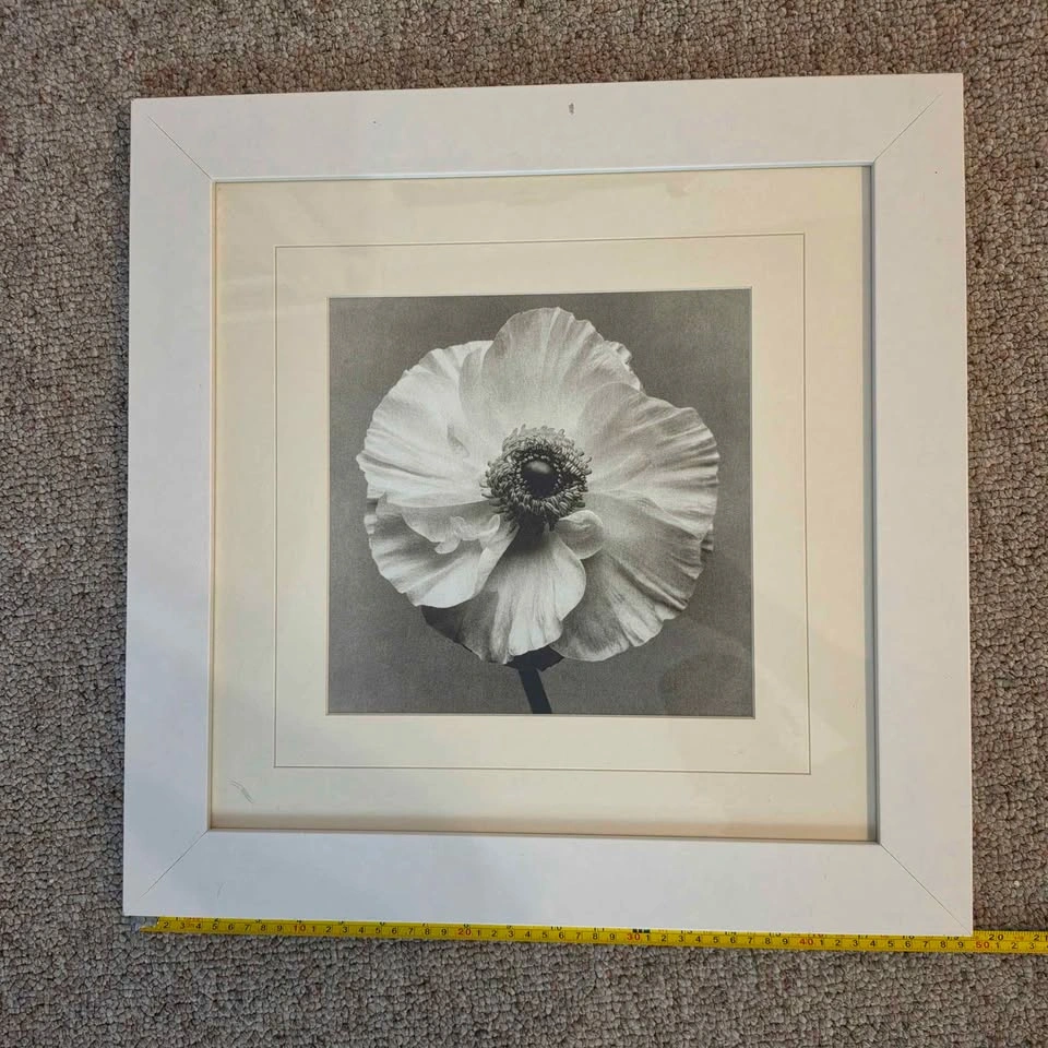 Framed White and Black Photograph (Set of 2) - photo 4