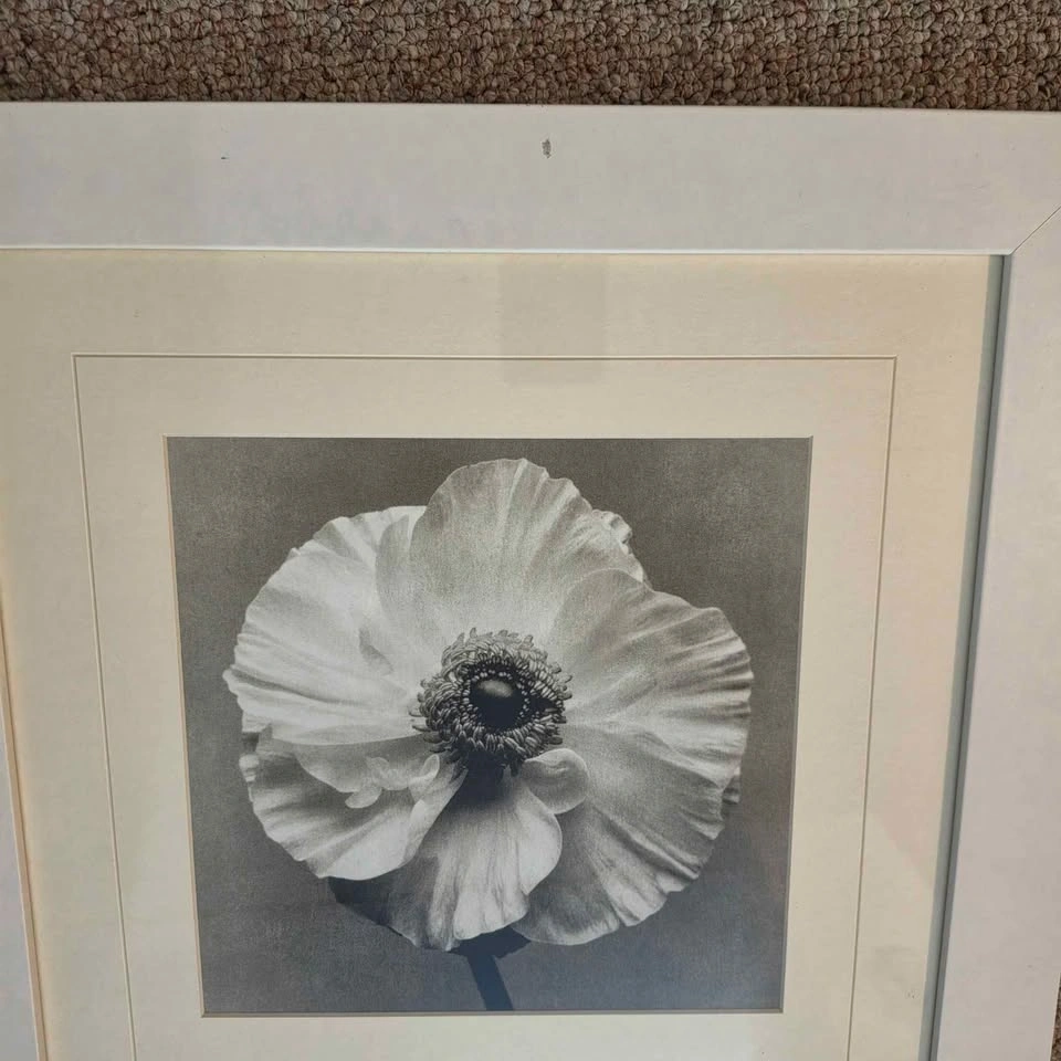 Framed White and Black Photograph (Set of 2) - photo 5