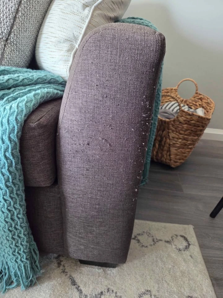 Couch with Pull Out Bed - photo 2