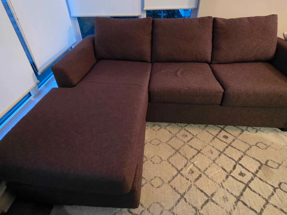 Couch with Pull Out Bed - photo 5