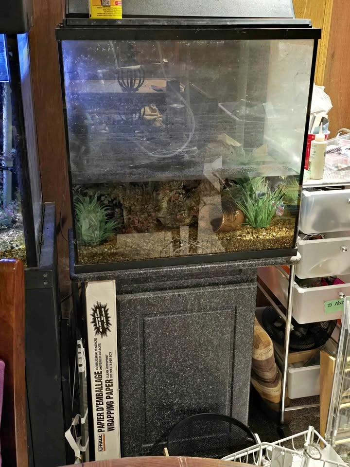 Tank & stand