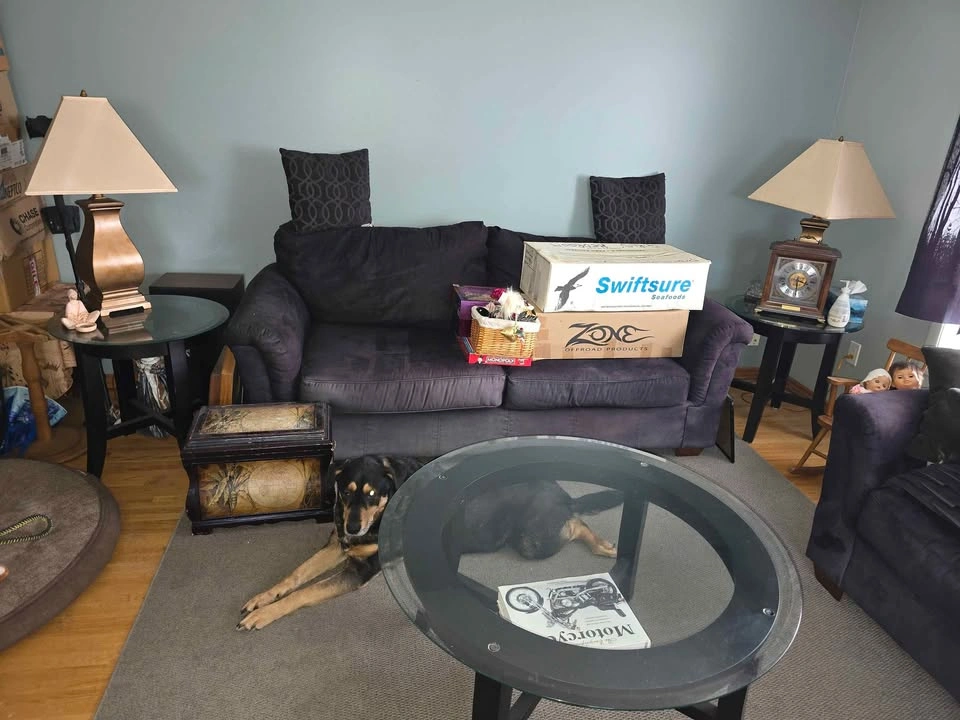 Living Room Furniture Set - Glass Tables & Sofa - photo 3