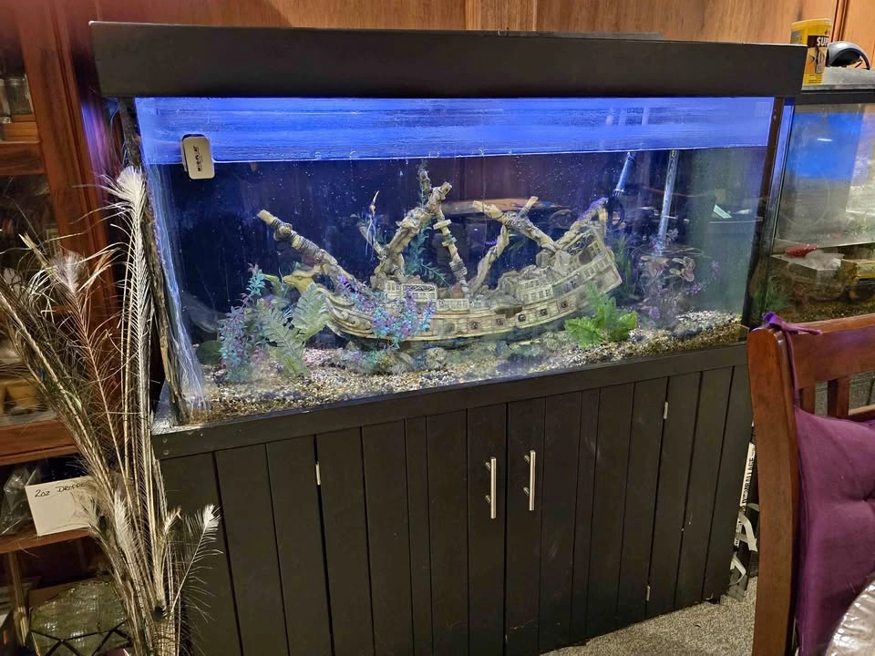 75 Gallon Fish Tank & Stand